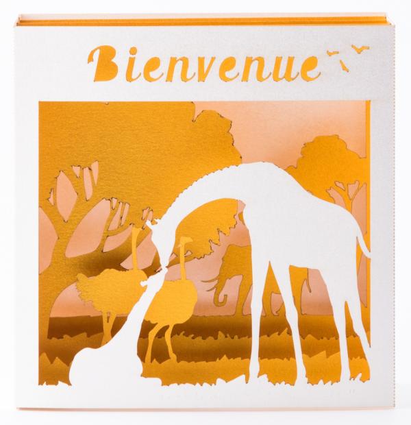 GIRAFE
