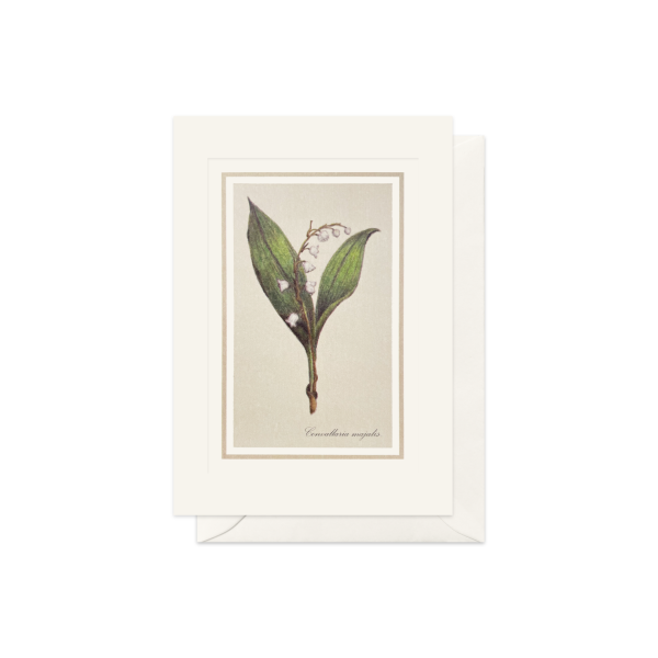 CARTE DOUBLE MUGUET 10.5*14.8 CM