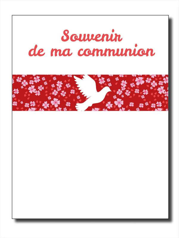 CARTES SIMPLES 10*7CM